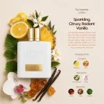 ⁦بريما شيك اسنشيال عطر لومينو 100 مل⁩ - الصورة ⁦5⁩